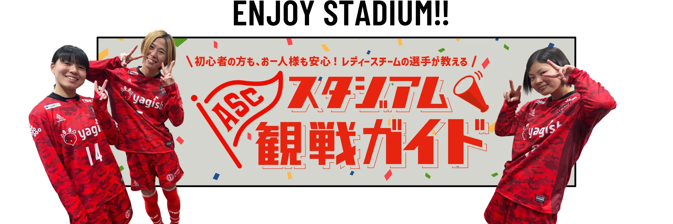 スタジアム観戦ガイド