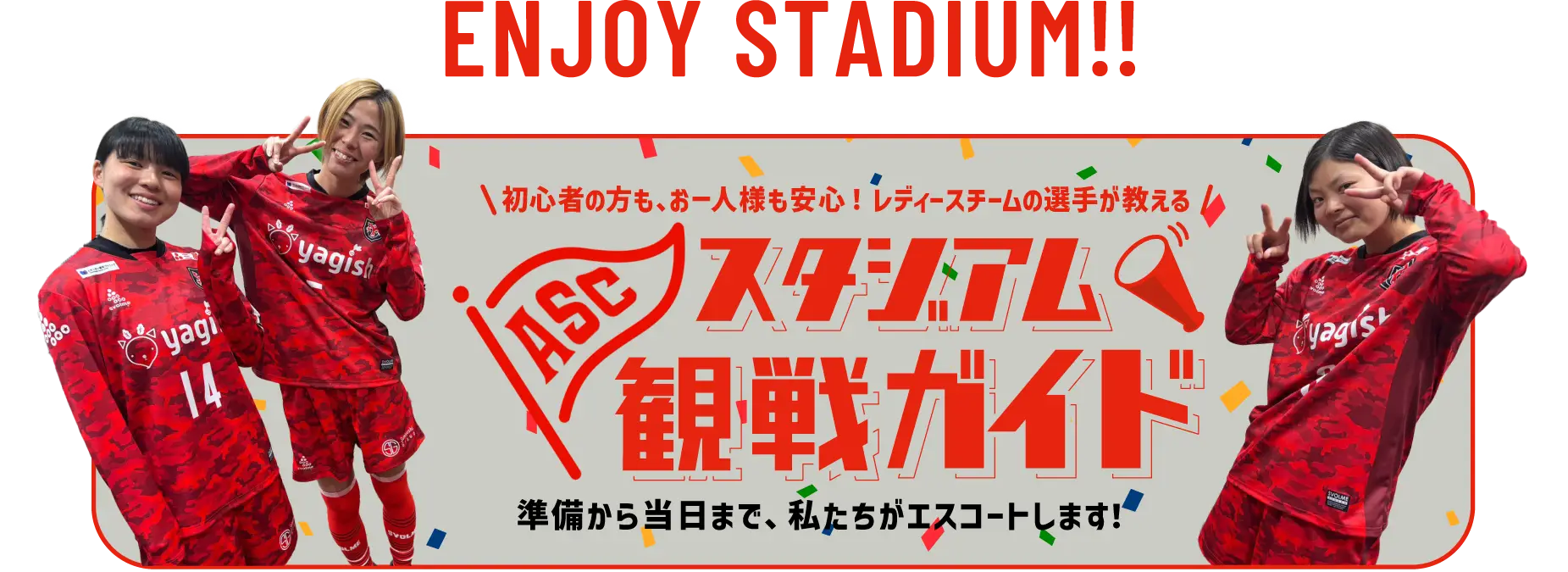 スタジアム観戦ガイド