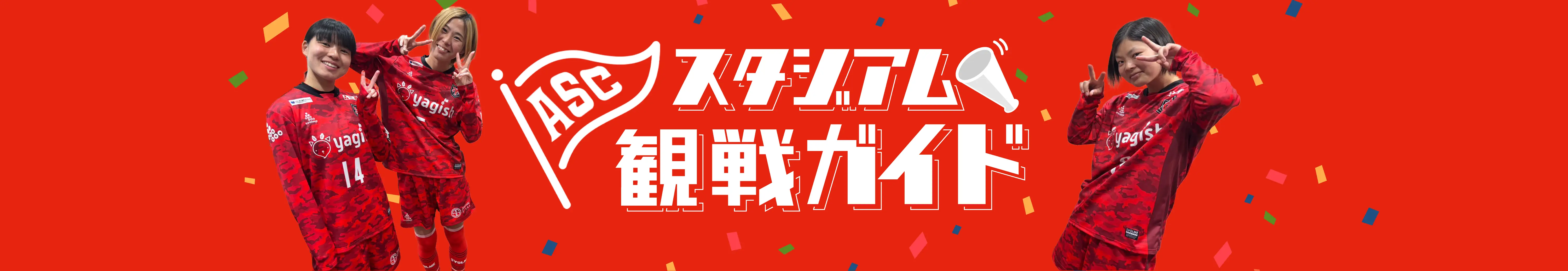 スタジアム観戦ガイド