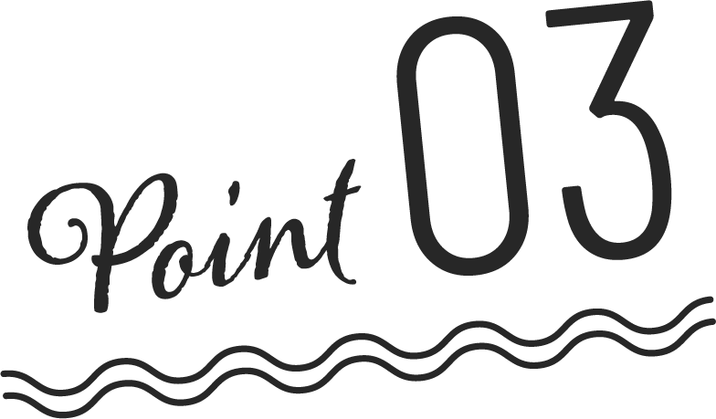 Point 03