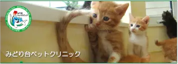 みどり台ペットクリニック